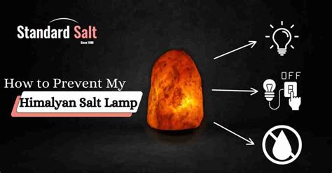 why is my salt rock leaking|How to Stop Salt Lamp From Leaking